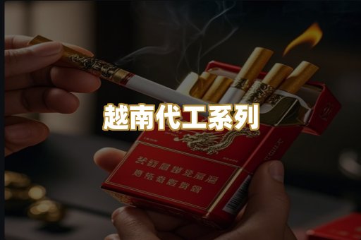 越南代工系列